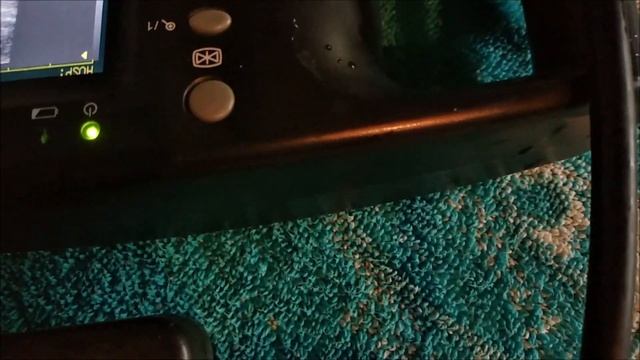 Домашняя УЗВ: хобби или бизнес?! Поездка на УЗВ для УЗИ диагностики стерляди смотреть онлайн