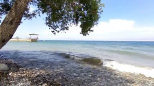 Море Таджикистан 2020/Кайраккумское водохранилище/Таджикистан