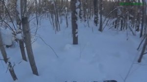 Мототолкач Ураган. Пробиваю дорогу. ЭТО ЖЕСТЬ!! Снегу по пояс