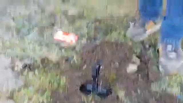 Обработка от кротов в компании СЭС Служба Экомастер смотреть онлайн