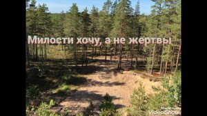 Проповедь отца Мефодия (Зинковского). Милости хочу, а не жертвы