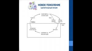 Биология. Объяснение темы "Жизненный цикл растений. Мох"