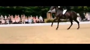 Оствинд клип 1 часть