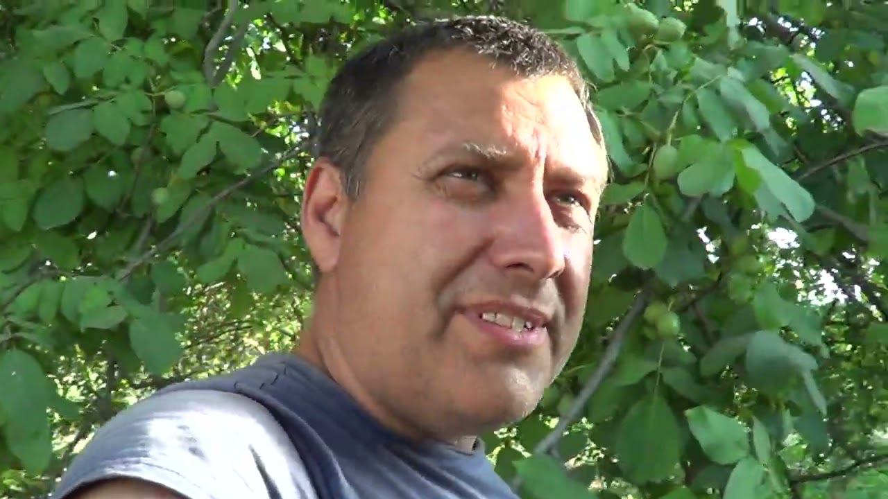 СКАЖУ ВСЮ ПРАВДУ / ОНА МНЕ НЕ НРАВИТСЯ смотреть онлайн