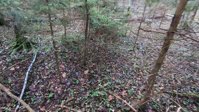 Охота на рябчика 2019 смотреть онлайн