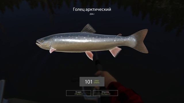 Русская рыбалка 4 - озеро Куори - Форель на крэнки смотреть онлайн