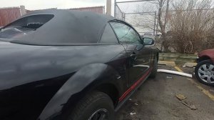 ЗАЖРАЛИСЬ! Выбросили Мустанг на свалку! Автосвалка в США. Mustang на свалке в Америке