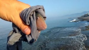 Морская рыбалка Рыбалка в Турции как ловить рыбу в море Аланья Турция ловлю в море со дна fishing