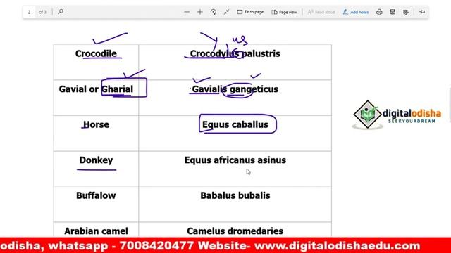 Animal Scientific Name trick odia || Animal Scientific Name odia || all animal scientific name смотреть онлайн