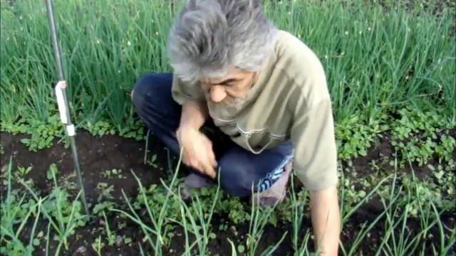 Для создателей роботов 4 смотреть онлайн