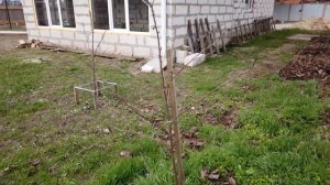 Белая Дача ст.Новощербиновская 20.03.2020