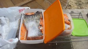 Копчение в коптильне с гидрозатвором