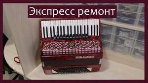 Трудовые будни / Ремонт Аккордеона "Royal Standard 4/4" / Экспресс ремонт