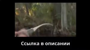 Как выбрать спиннинг для ловли щуки