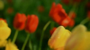 Красивая нашид про Рамадан это мая жизнь