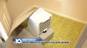 Renters Dealing With Apartment Flooding