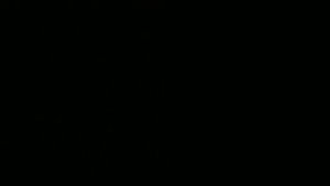 Фестивальные шары VS 0044 - "Small Festival Balls"