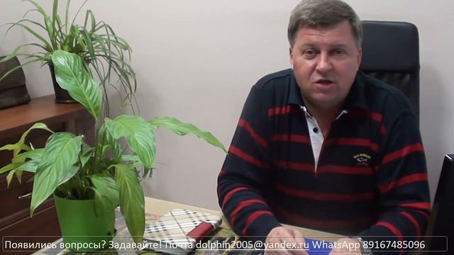 Мифы и явь о нас.#8 Почему мы поменяли название. смотреть онлайн