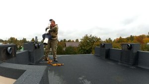 Труба для твердотопливного котла: Установка гильзы дымовой трубы в доме из газобетона