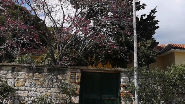 ЧЕШМЕ | Горячие источники в марте смотреть онлайн