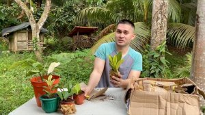 SOBRANG MURA AT QUALITY PLANTS FROM MINDANAO | UNBOXING | LEGIT ONLINE PLANT SELLER