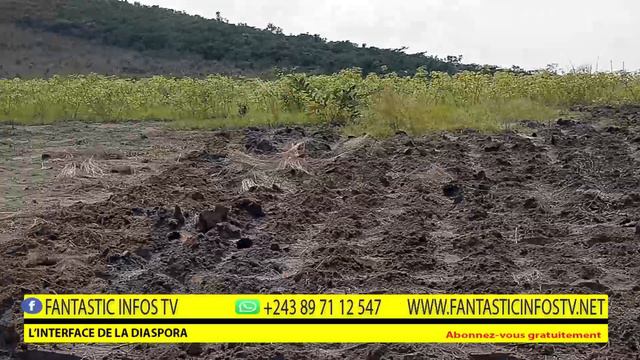 Formation indispensable sur l'AGRO BUSINESS EN RDC (1) N'sele-Maluku смотреть онлайн