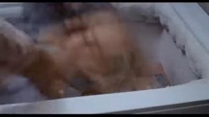 Two Evil Eyes 1990 Trailer | Adrienne Barbeau | Harvey Keitel