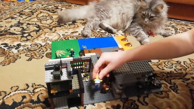 Мой кот играет в мою самоделку по зомби апокалипсусу смотреть онлайн