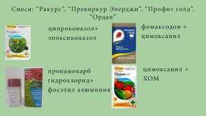 фунгициды