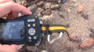 Pentax WG3 подводная цифровая компактная камера