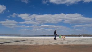 Учим собаку ходить на задних лапах