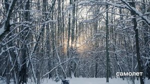 Пятницкие Луга / Все о проекте