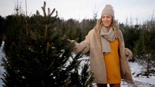 Хвойные деревья от Арт-Ландщафт смотреть онлайн