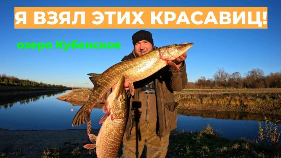 Я ВЗЯЛ ЭТИХ КРАСАВИЦ! Закрытие сезона на Кубенском озере #рыбалка #рыбалканащуку