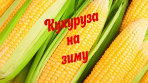 Кукурузу зимой НЕ ПОКУПАЕМ! Кукуруза на зиму - как заморозить