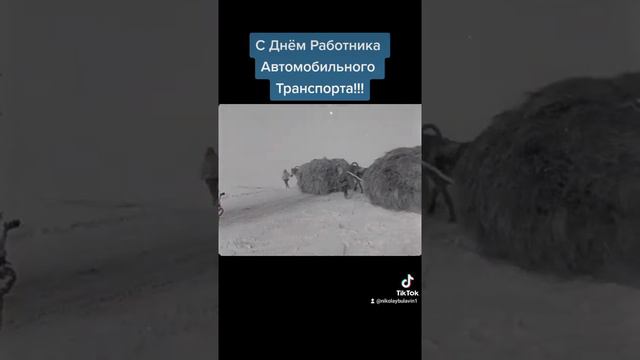 с днем водителя (2) смотреть онлайн