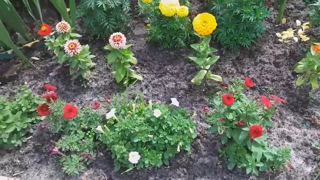 Дача в Сибири в начале июля. смотреть онлайн