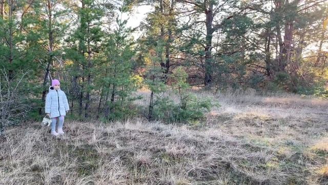 За грибами. Осень-грибная пора. Прогулка по лесу. Даша Журбина смотреть онлайн