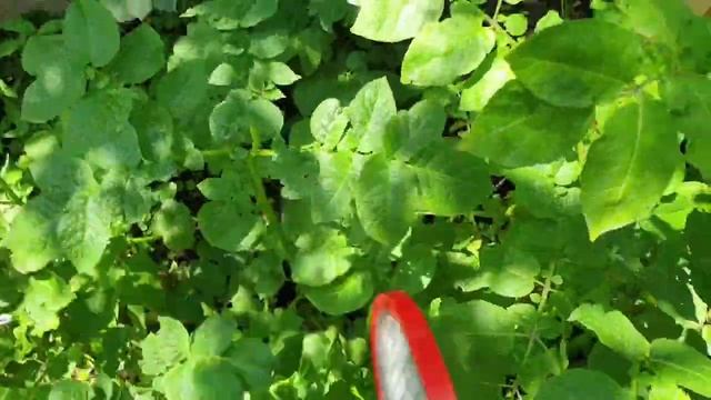 Как избавиться от мух и комаров, летающих насекомых. Ракетка электрическая мухобойка. Видео. смотреть онлайн