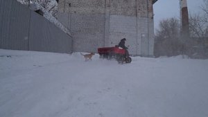 Шины Ф-292 Елочка 5.00-10 на Муравей