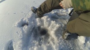 Рыбалка на мормышку на Яченском водохранилище, или поиск поклёвок на Калужском море, январь 2021