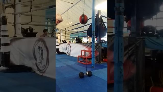 Double End Bag / Груша на растяжках! Скорость Держим форму 2017.спорт смотреть онлайн