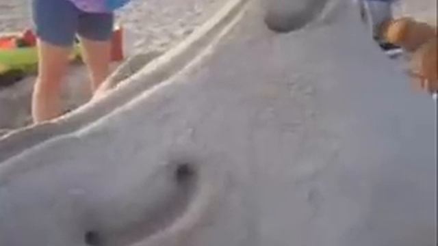 Fun in the sand - create a ball roll! смотреть онлайн