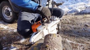 Купили большую шину для бензопилы STIHL MS 660  Chainsaw tire