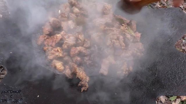 ГОТОВИМ мясо на ДИСКЕ в ЛЕСУ ЗИМОЙ Январь 2021.ПОЛНЫЙ ВЫПУСК.
