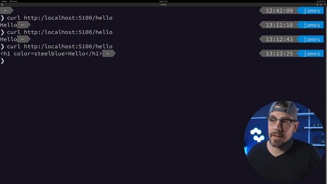 GoLang Simple HTTP Web Server | Beginners Tutorial смотреть онлайн