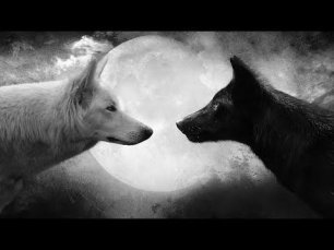 Притча о двух волках (полная версия)