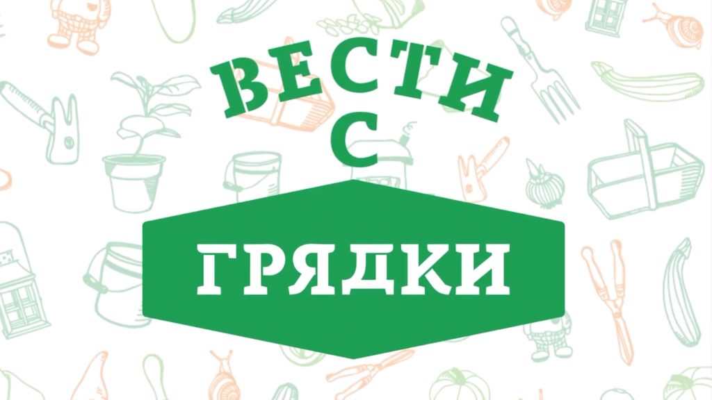 «Вести с грядки». Выпуск от 26 апреля 2022 года