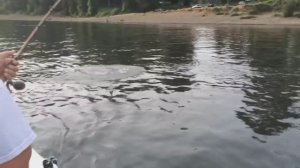 ОСЕТР РЫБАЛКА КАК ЛУЧШЕ ЛОВИТЬ