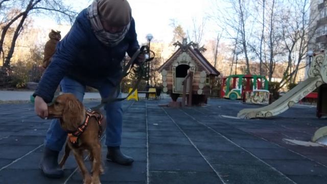 27.10.22 Отрабатываем упражнение на повышение пищевой мотивации. смотреть онлайн